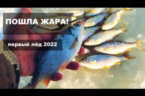 Кракен тор gigageek ru