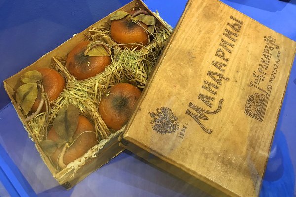 Как войти в даркнет