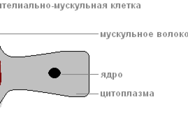 Как восстановить аккаунт кракен