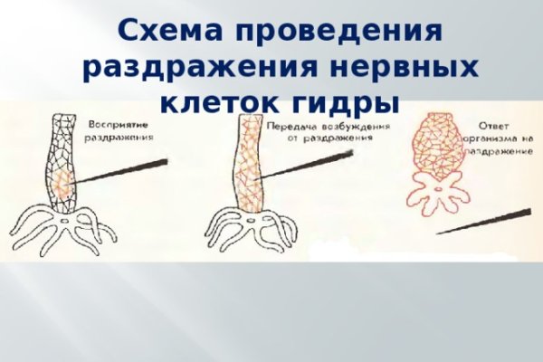 Kraken официальные зеркала