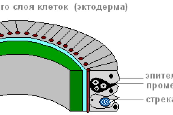 Darknet как войти