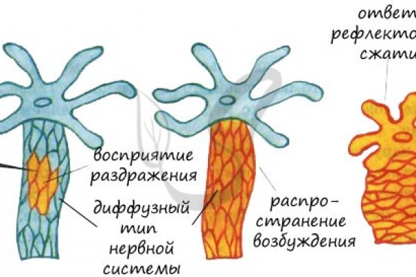 Кракен наркоман